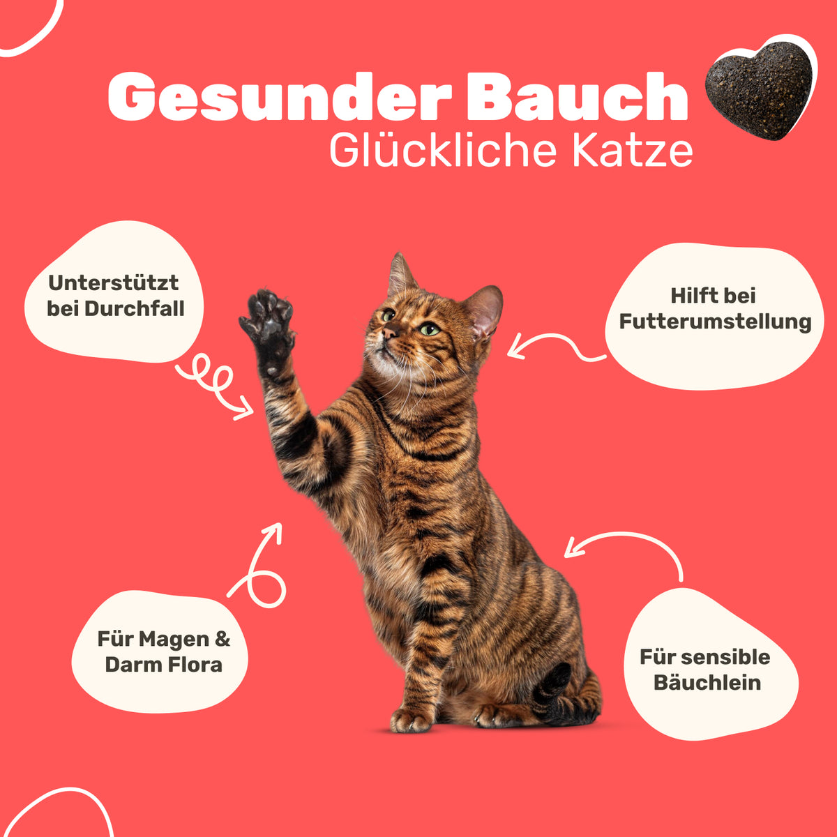 Patsli Belly Verdauungs-Snack für Katzen, bei Durchfall & empfindlichem Bauch