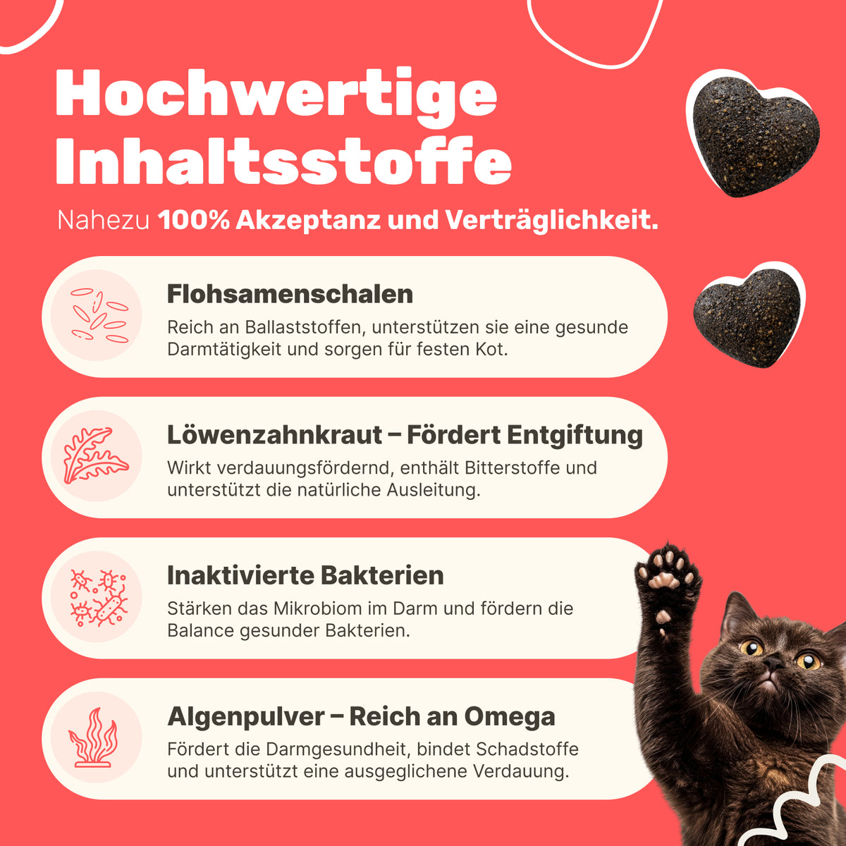 Patsli Belly Verdauungs-Snack für Katzen, bei Durchfall & empfindlichem Bauch