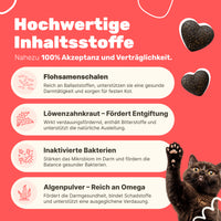 Patsli Belly Verdauungs-Snack für Katzen, bei Durchfall & empfindlichem Bauch