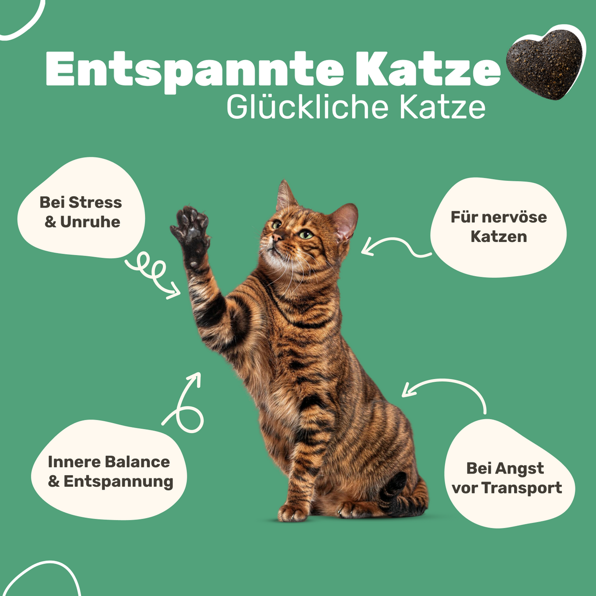 Patsli Chill Entspannungs-Snack für Katzen, bei Stress & Unruhe