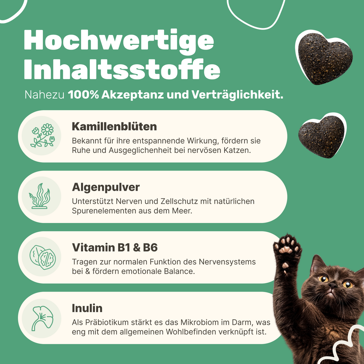 Patsli Chill Entspannungs-Snack für Katzen, bei Stress & Unruhe
