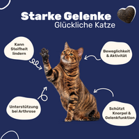 Patsli Move Gelenk-Snack für Katzen, bei Arthrose & Bewegungsfreiheit