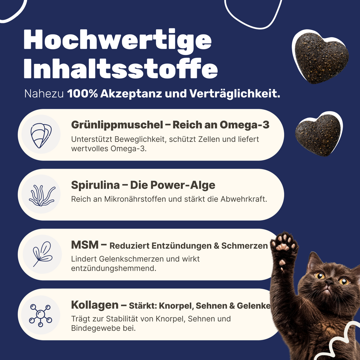 Patsli Move Gelenk-Snack für Katzen, bei Arthrose & Bewegungsfreiheit