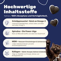 Patsli Move Gelenk-Snack für Katzen, bei Arthrose & Bewegungsfreiheit