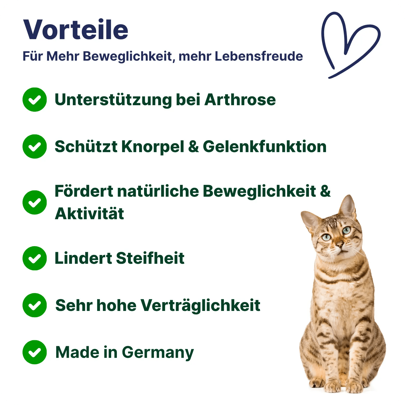 Patsli Move - PATSLI