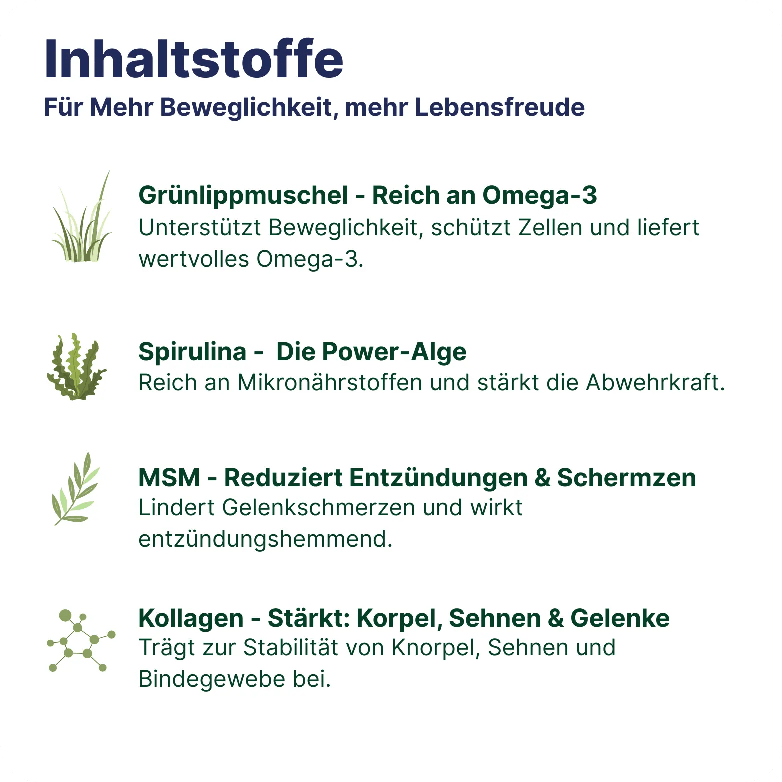 Patsli Move - PATSLI