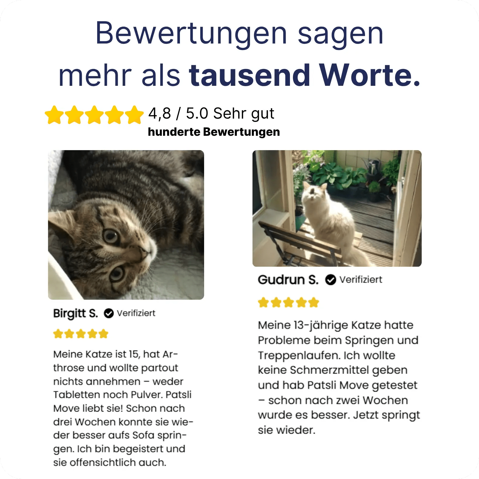 Patsli Move - PATSLI