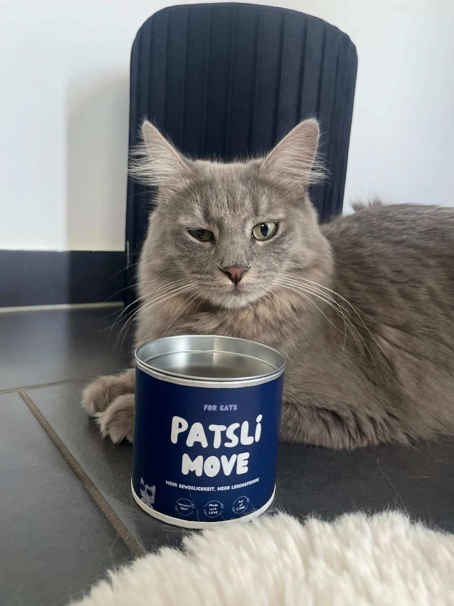 Patsli Move - PATSLI