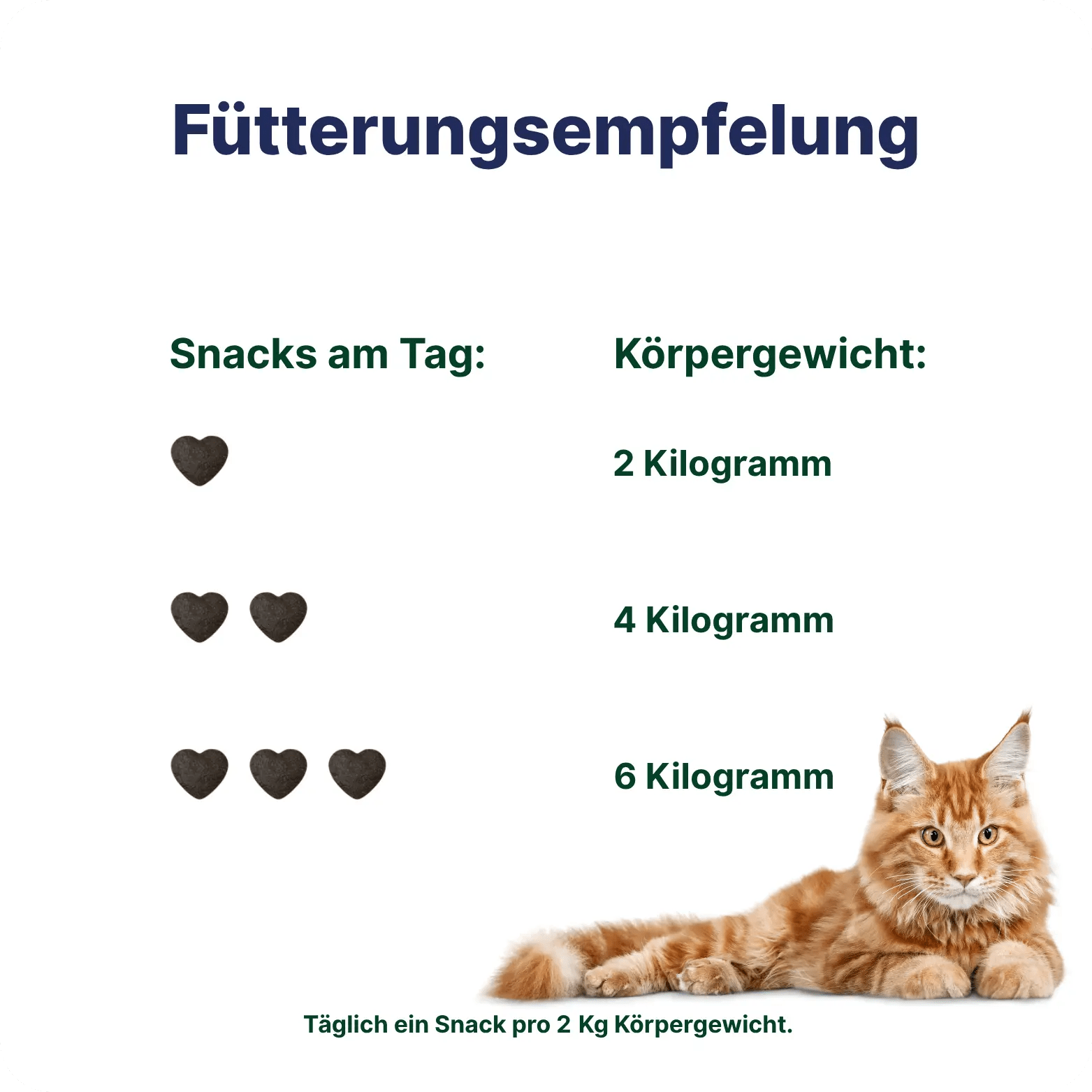 Patsli Move - PATSLI