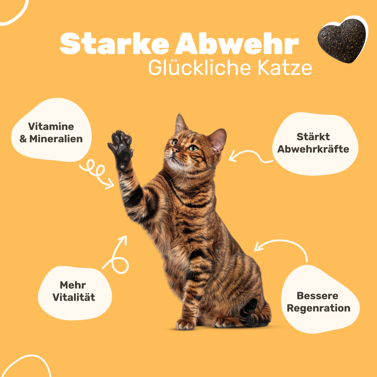 Patsli Immune Immun-Snack für Katzen, zur Stärkung der Abwehrkräfte