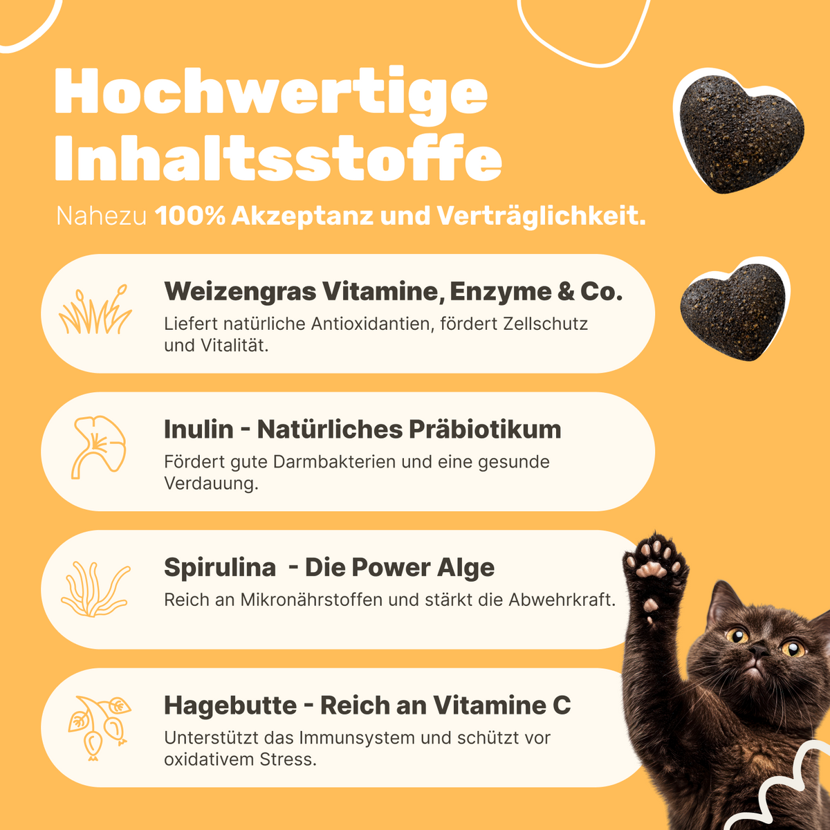 Patsli Immune Immun-Snack für Katzen, zur Stärkung der Abwehrkräfte