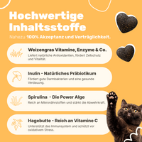 Patsli Immune Immun-Snack für Katzen, zur Stärkung der Abwehrkräfte