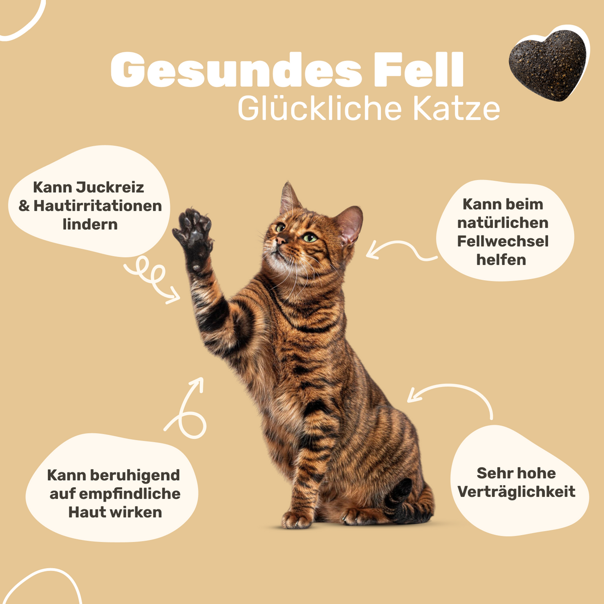 Patsli Skin & Hair Fell-Snack für Katzen, für glänzendes Fell & gesunde Haut