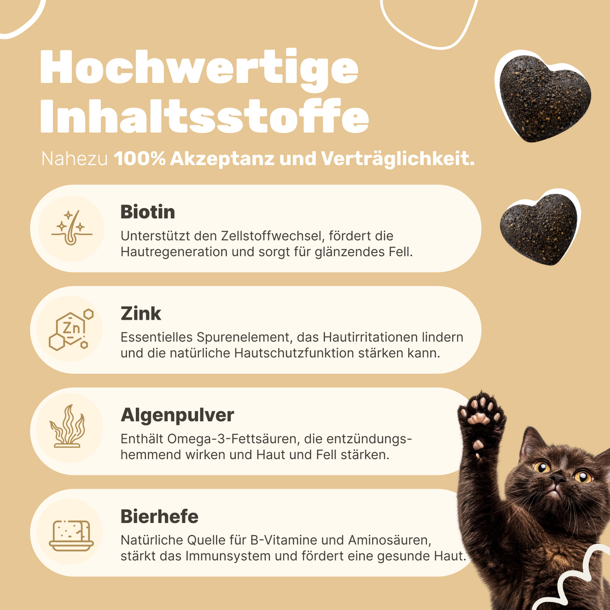 Patsli Skin & Hair Fell-Snack für Katzen, für glänzendes Fell & gesunde Haut