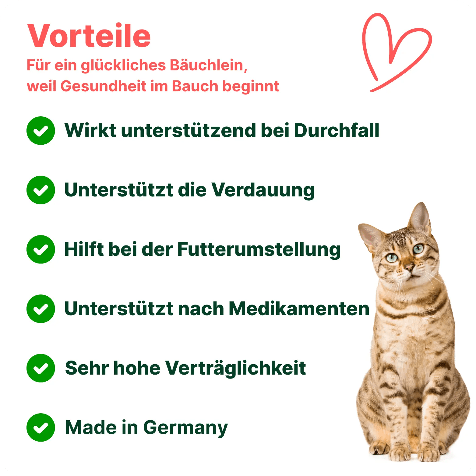 Patsli Belly - PATSLI