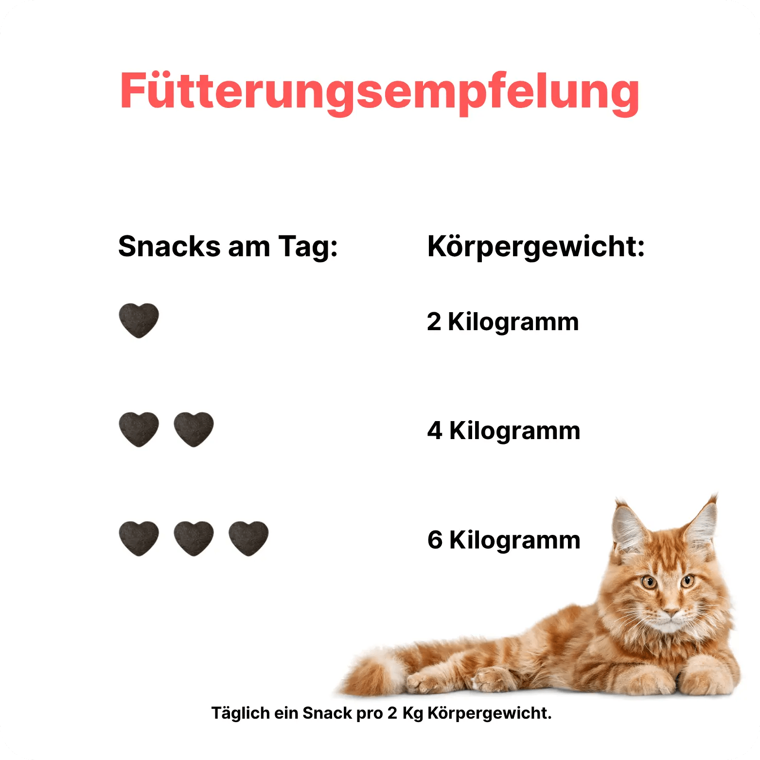 Patsli Belly - PATSLI